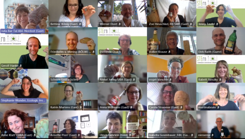 STErn Workshop Juni 2021